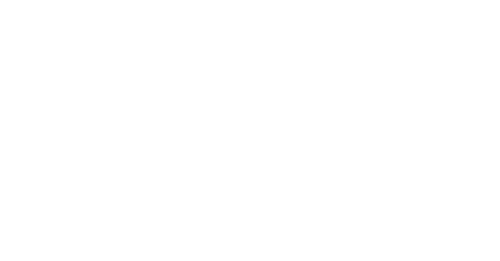 Section 504 reverse logo white